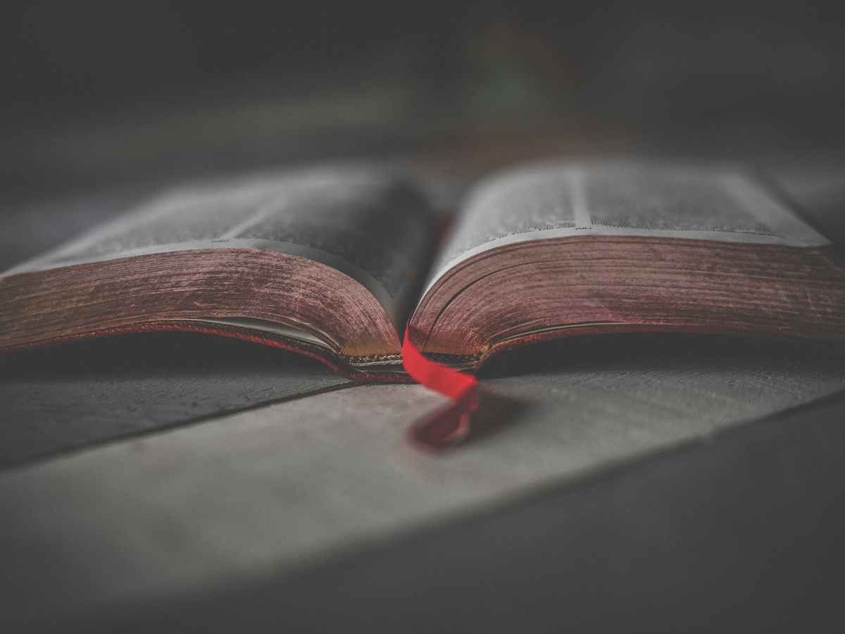 The Coherence of Faith: 4 Reasons to Read [and Trust] Your Bible